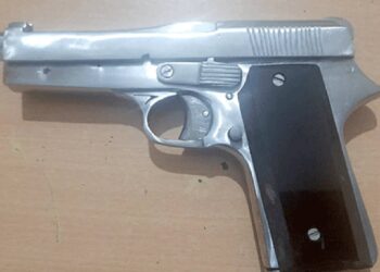 गावठी पिस्तूल दाखवून  दहशत माजविणारा जेरबंद