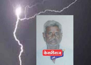 शेतात काम करताना वीज पडून शेतकऱ्यासह म्हैस ठार