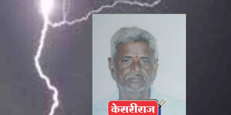शेतात काम करताना वीज पडून शेतकऱ्यासह म्हैस ठार