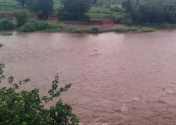 रावेर तालुक्यात मुसळधार पाऊस : वादळाने झाड पडून एकाचा मृत्यू , १ जखमी