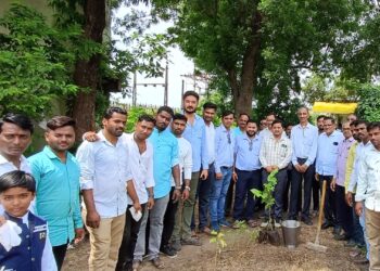 म्हसावद महावितरण सबस्टेशनला वृक्षारोपण