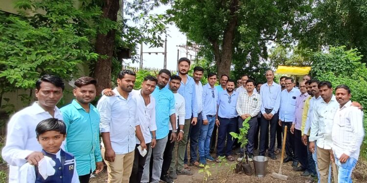 म्हसावद महावितरण सबस्टेशनला वृक्षारोपण