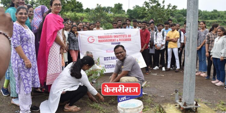 गोदावरी आय एम आर महाविद्यालयात वृक्षरोपण