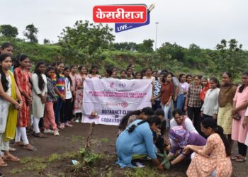 डॉ. वर्षा पाटील वुमन्स कॉलेज ऑफ कॉप्यूटर अप्लिकेशन महाविद्यालयात वृक्षारोपण