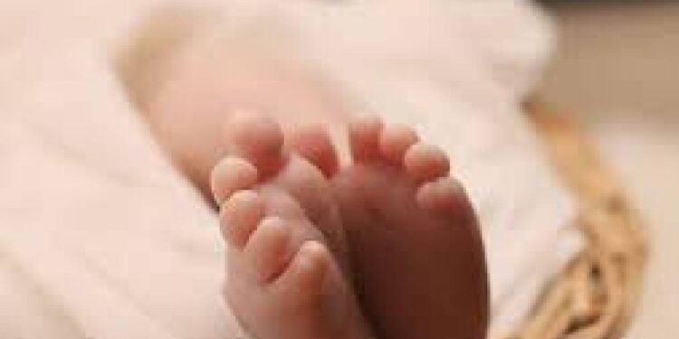 तापी नदी पात्रात सापडले नवजात अर्भक