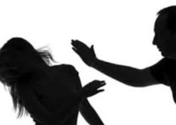 महिलेच्या डोळ्यात मिरची पूड टाकून विनयभंग, १२ जणांवर गुन्हा दाखल