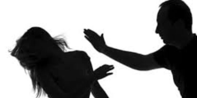 महिलेच्या डोळ्यात मिरची पूड टाकून विनयभंग, १२ जणांवर गुन्हा दाखल