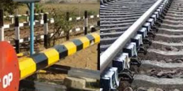 रेल्वेच्या भीषण धडकेत गायीचा मृत्यू