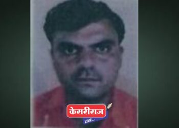 शेतात काम करताना सर्पदंश : शेतकऱ्याचा उपचारादरम्यान मृत्यू