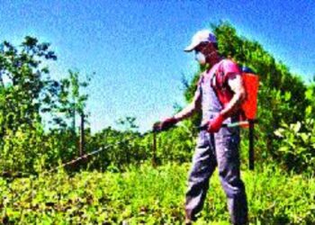 बॅटरी ऑपरेटेड फवारणी पंपासाठी १४ ऑगस्ट पर्यंत मुदतवाढ