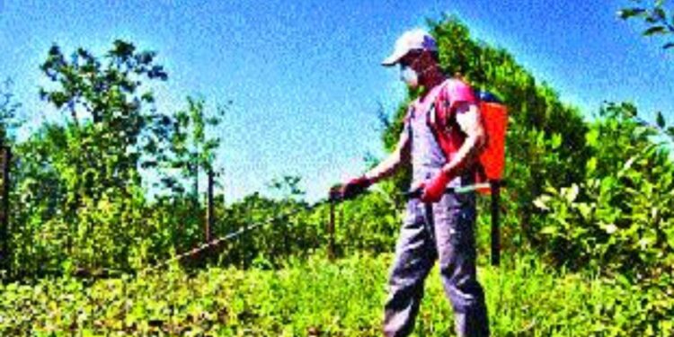 बॅटरी ऑपरेटेड फवारणी पंपासाठी १४ ऑगस्ट पर्यंत मुदतवाढ