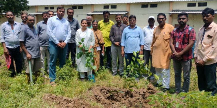 महाराष्ट्र राज्य वखार महामंडळाच्या शासकीय गोदाम परिसरात वृक्षारोपण