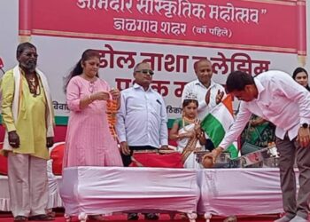 सांस्कृतिक विकास व्हावा, कलागुणांना वाव मिळावा याचसाठी महोत्सवाचे आयोजन