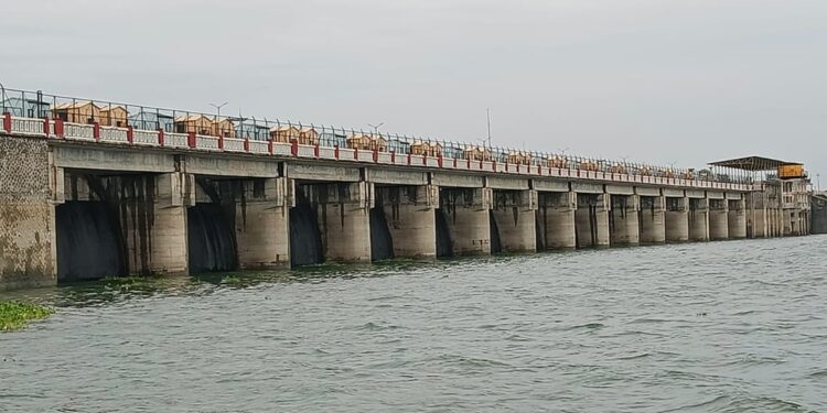 गिरणा धरण भरले ५० %, पाण्याची आवक वाढल्याने दिलासा