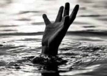 बकऱ्यांसाठी झाडपाला काढताना तोल गेला : तलावात पडल्याने तरूणाचा बुडून मृत्यू