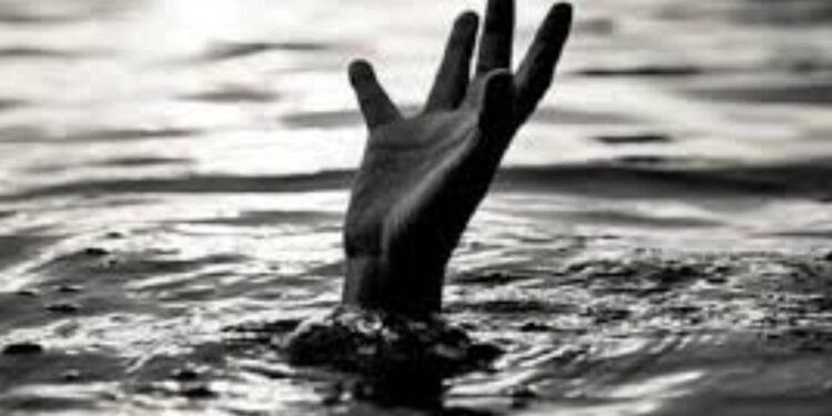 बकऱ्यांसाठी झाडपाला काढताना तोल गेला : तलावात पडल्याने तरूणाचा बुडून मृत्यू