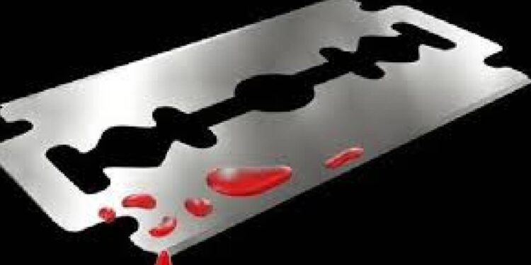 कौटुंबिक वादातून पत्नीवर धारदार ब्लेडने वार करून केले जखमी