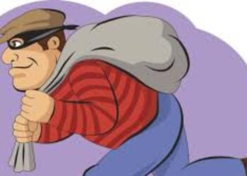 एका रात्रीत फोडली तीन दुकाने, ९ हजारांचा ऐवज लंपास