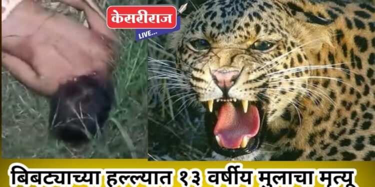 धक्कादायक, बिबट्याच्या हल्ल्यात १३ वर्षीय मुलाचा मृत्यू