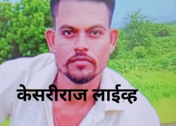 घराजवळ काम करताना सर्पदंश झाल्याने तरुणाचा मृत्यू