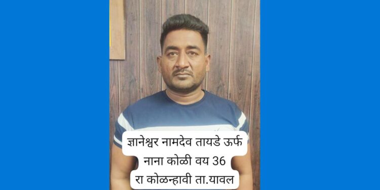 यावल तालुक्यातील वाळू तस्कर नाना कोळी याच्यावर एमपीडीए कारवाई