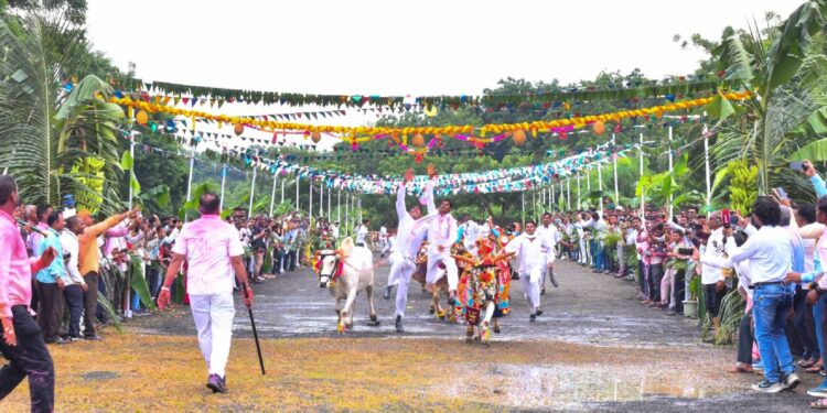 जैन हिल्स वर पोळा उत्साहात