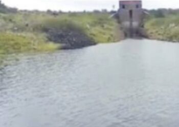 चाळीसगाव तालुक्यात मन्याड धरणात पाणीसाठा आल्याने शेतकरी वर्गात आनंद