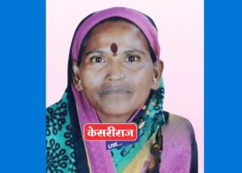 घरात काम करीत असताना सर्पदंशाने ४५ वर्षीय महिलेचा मृत्यू