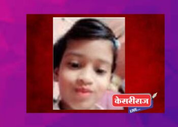 अंगणात खेळताना सर्पदंश झाल्याने बालिकेचा मृत्यू
