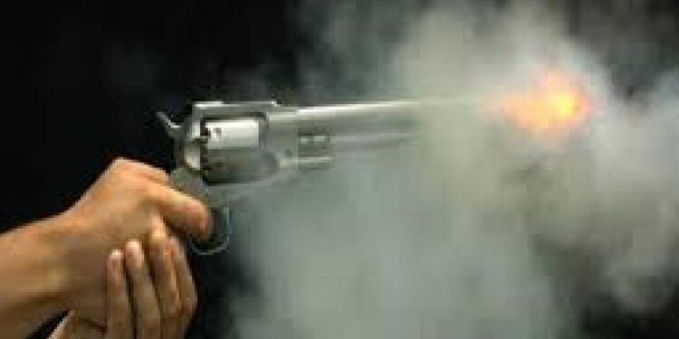 वाळूमाफियाचा हवेत गोळीबार, ९ जणांविरुद्ध गुन्हा दाखल