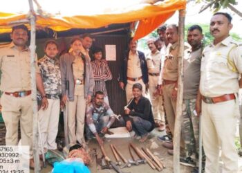 चंदन वृक्षाची चोरी करणाऱ्या दोघांना वनविभागाकडून अटक