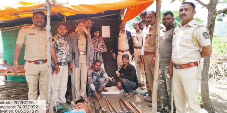 चंदन वृक्षाची चोरी करणाऱ्या दोघांना वनविभागाकडून अटक