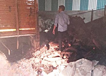 खैर प्रजातीचे पावणे दोन लाखांचे लाकूड जप्त, वनविभागाची कारवाई