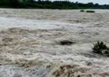 बहुळा नदीला पहिलाच पूर, अनेक पिकांचे झाले नुकसान