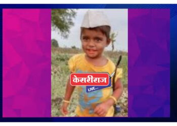 बिबट्याच्या हल्ल्यात चिमुकली ठार ; तळोद्यातील घटना