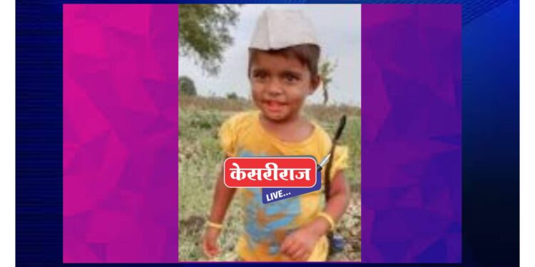 बिबट्याच्या हल्ल्यात चिमुकली ठार ; तळोद्यातील घटना