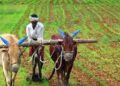 कागदपत्रांच्या पूर्ततेबाबत तहसीलदारांच्या यंत्रणेला सूचना