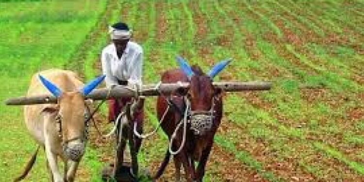 कागदपत्रांच्या पूर्ततेबाबत तहसीलदारांच्या यंत्रणेला सूचना