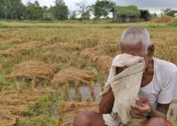 नुकसान झालेल्या शेतकऱ्यांना मिळणार प्रति हेक्टर 13,600 रुपये मदत