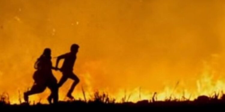 फरार प्रेमीयुगुलाने थाटला कोल्हापूरात संसार, मात्र ३ महिन्यांनी अडकले पोलिसांच्या जाळ्यात !