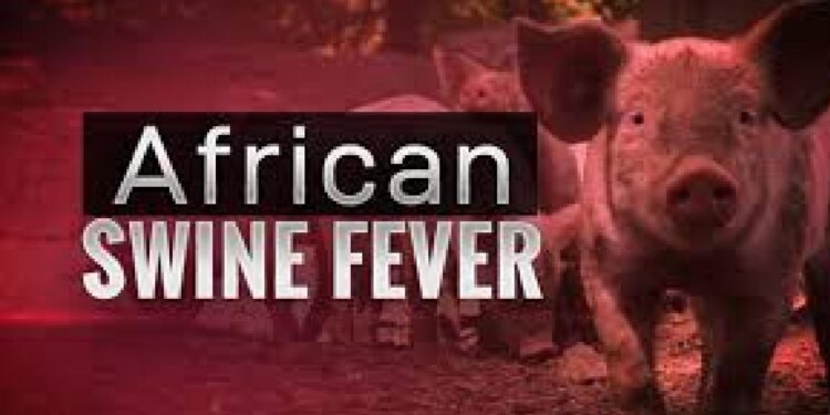 “आफ्रिकन स्वाइन फिवर”चा नंदुरबारमध्ये शिरकाव, वराह ठार करण्याचे आदेश