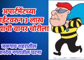 अपार्टमेंटच्या साईटवरुन ३ लाख रुपयांची वायर चोरीला
