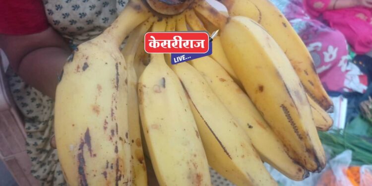देवपुजेसाठी बोथे केळांची मागणी वाढली