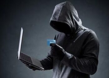 शेअर मार्केटमध्ये नफ्याचे आमिष : बहिणींना ६ लाखात गंडवले