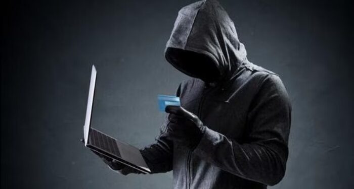 शेअर मार्केटमध्ये नफ्याचे आमिष : बहिणींना ६ लाखात गंडवले