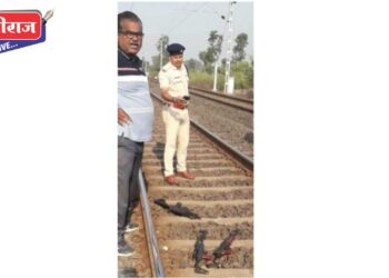 आयुध निर्माणी येथील चोरीस गेलेल्या बंदूक, रायफल रेल्वेरुळावर सापडल्या