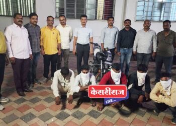 धारदार शस्त्र दाखवून पशुधन चोरणाऱ्या टोळीला एलसीबीने केले जेरबंद