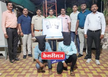 काडतूस, दोन गावठी पिस्तुलांसह दोन जणांना अटक