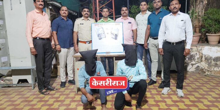 काडतूस, दोन गावठी पिस्तुलांसह दोन जणांना अटक