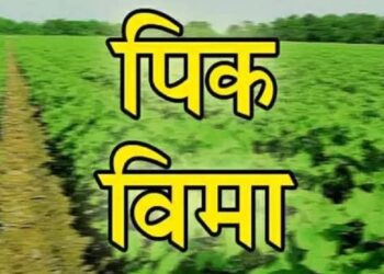 जीवन ज्योत फाऊंडेशनमुुळे तालुक्यातील शेतकऱ्यांची दिवाळी गोड